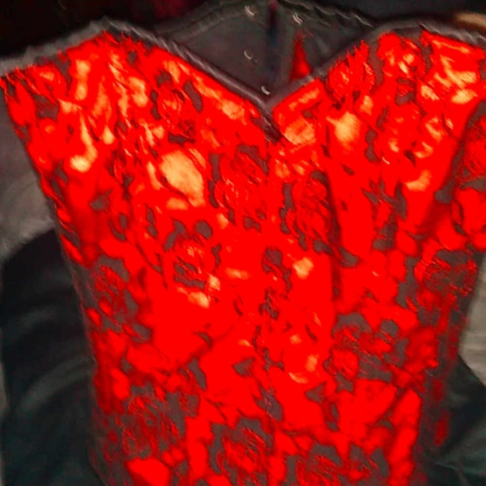 Hustler Corset